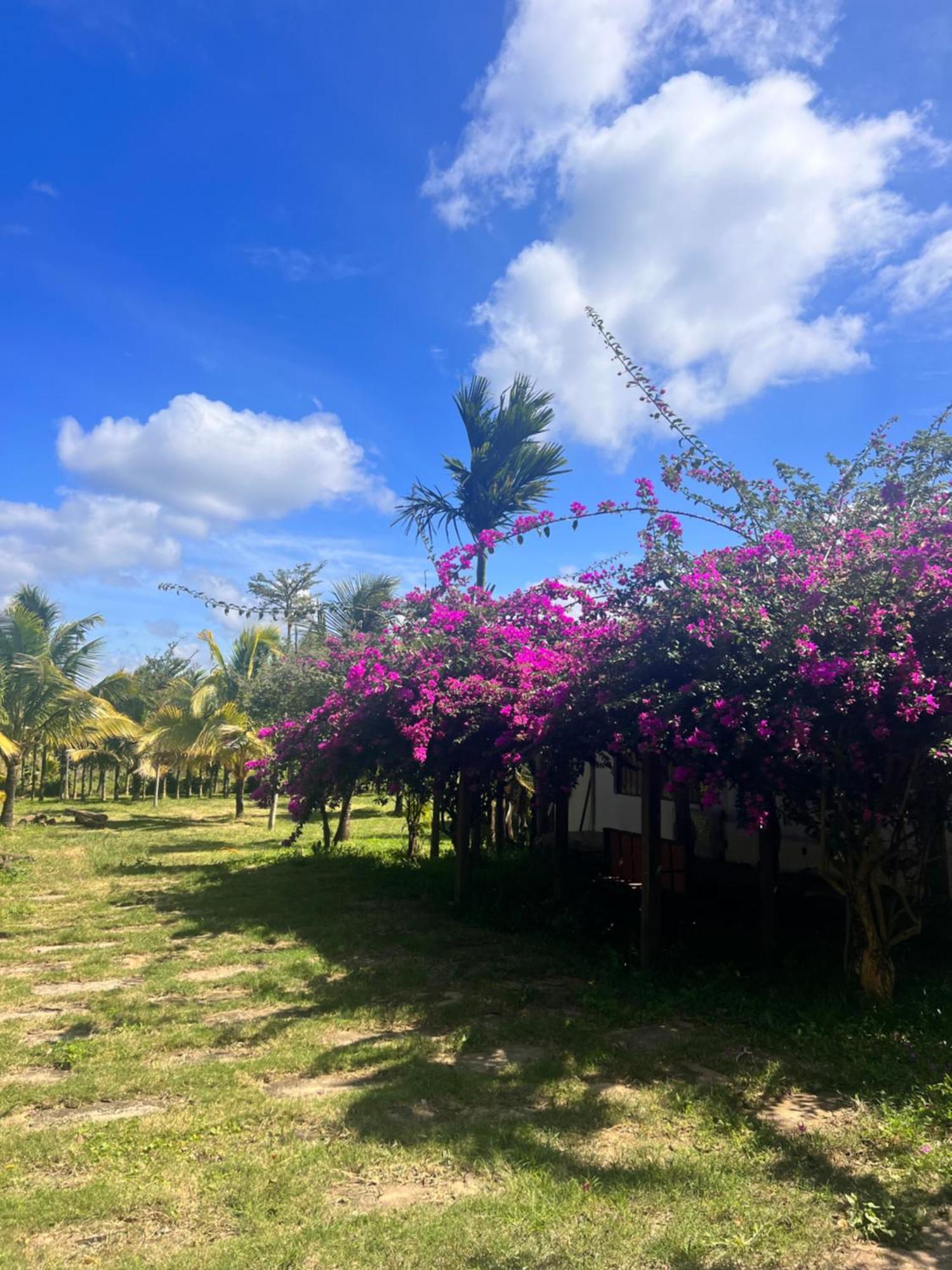 Hotel Komleo Farm Buôn Ma Thuột Esterno foto